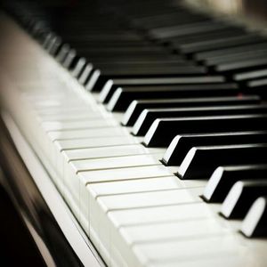 白上咲花三级无删减作品
